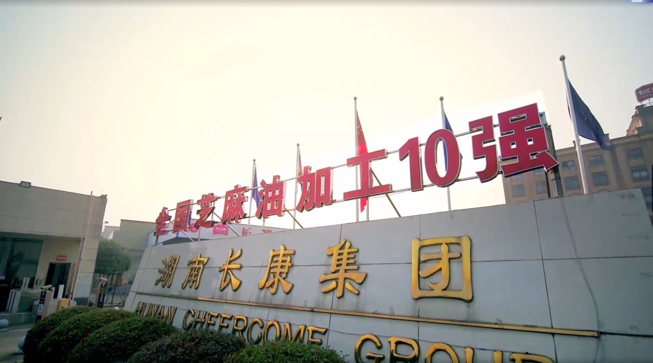 在傳承與創新中砥礪前行，長康老字號再獲殊榮！